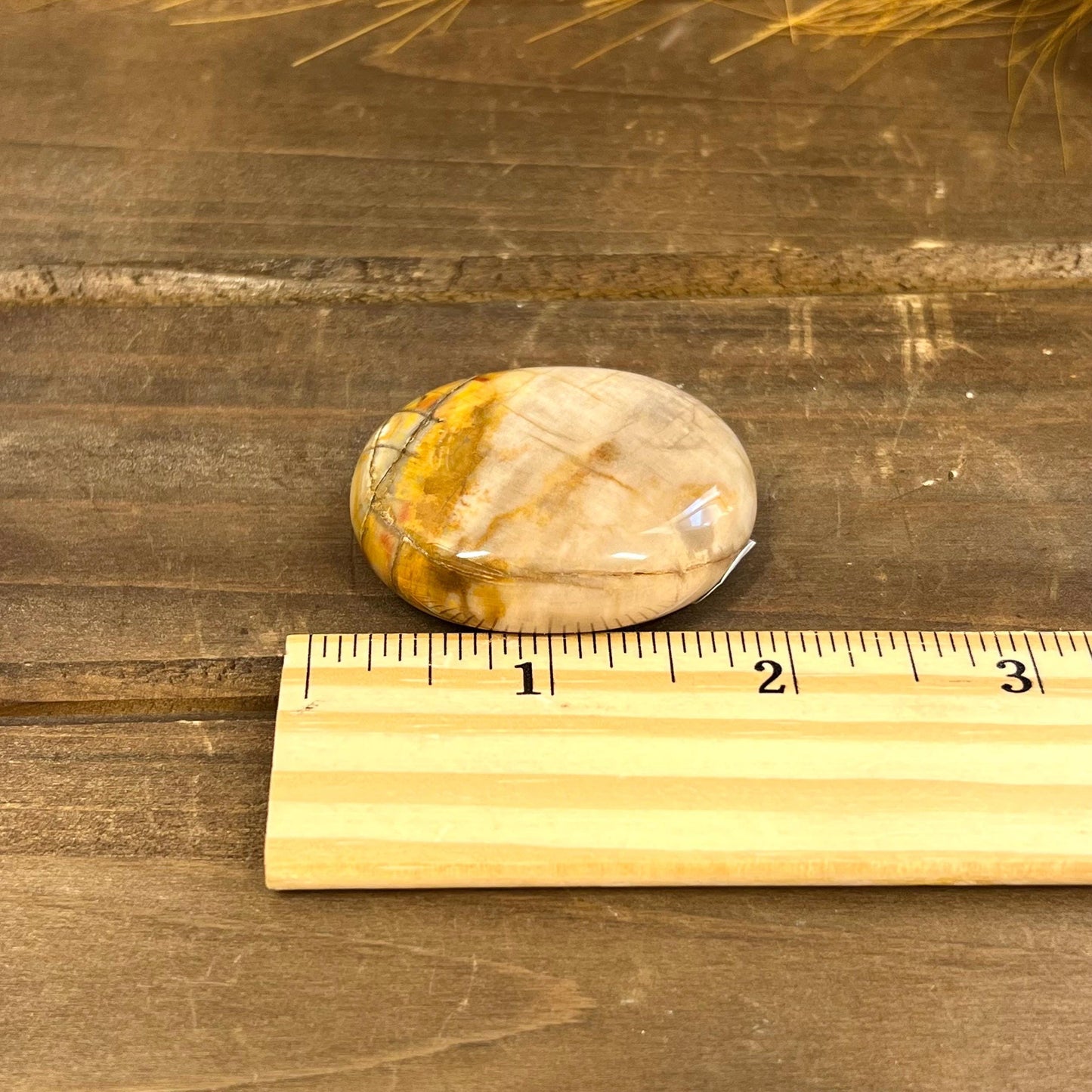 Petrified Wood Palm Stone | Madagascan Petrified Wood | Unique Crystals | Pocket Crystals