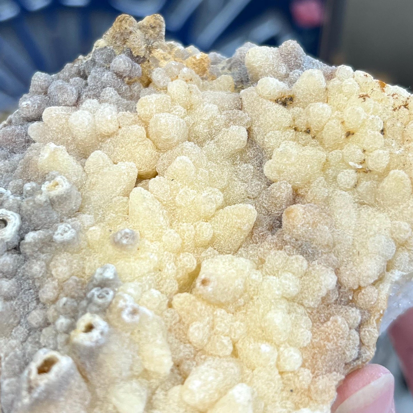 Large Aragonite Cluster from Morocco | Aragonite Specimen