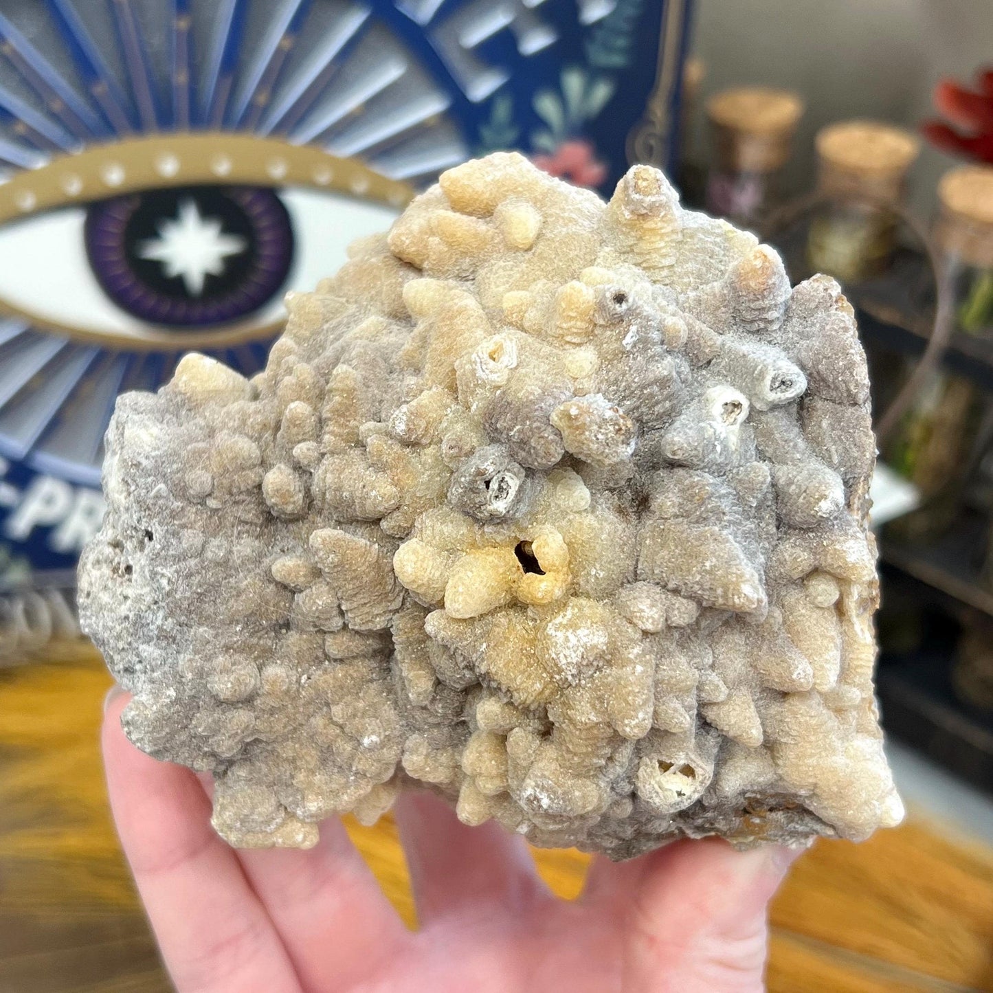 Large Aragonite Cluster from Morocco | Aragonite Specimen