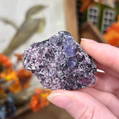 Raw Purple Mica Cluster | Raw Lepidolite | Gem Lepidolite | Purple Mica on Quartz