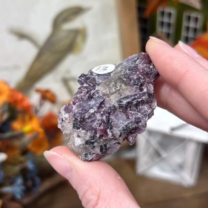 Raw Purple Mica Cluster | Raw Lepidolite | Gem Lepidolite | Purple Mica on Quartz