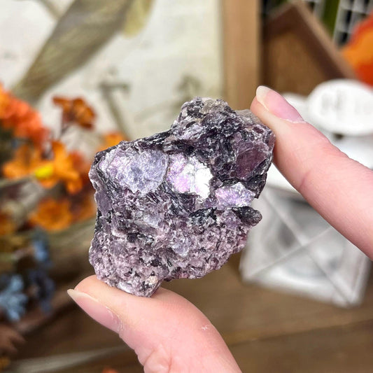 Raw Purple Mica Cluster | Raw Lepidolite | Gem Lepidolite | Purple Mica on Quartz