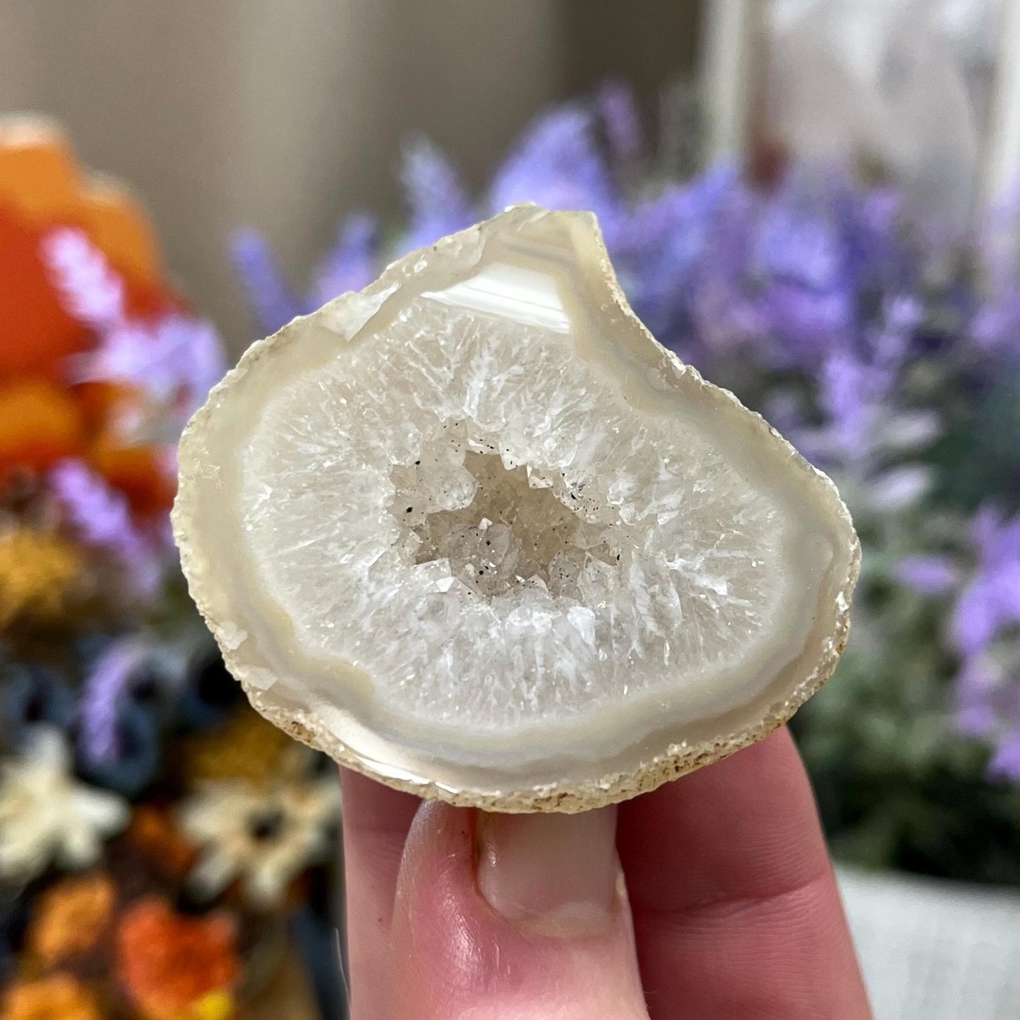 Small Druzy Geode | Polished Agate Geode with Quartz Druzy