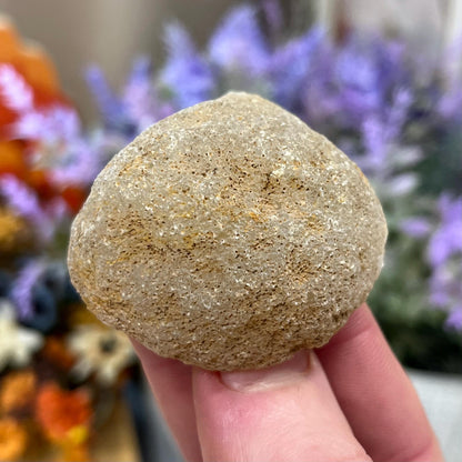 Small Druzy Geode | Polished Agate Geode with Quartz Druzy