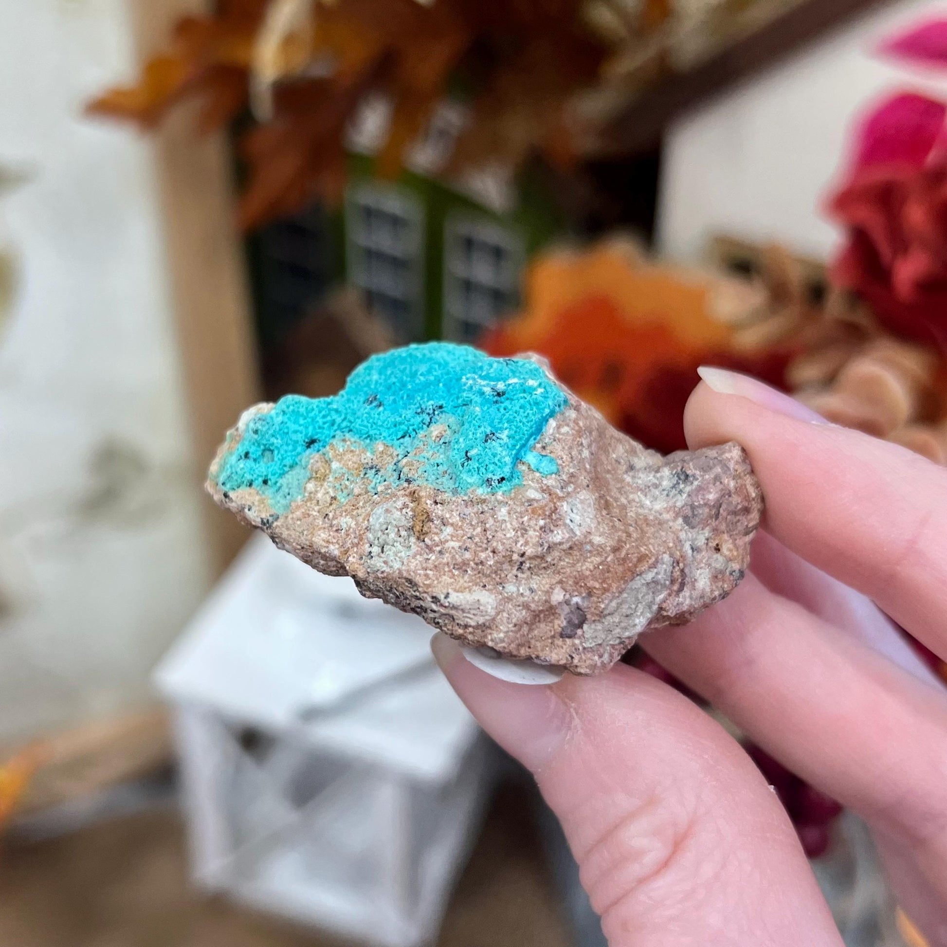 Small Chrysocolla Specimen | Raw Chrysocolla