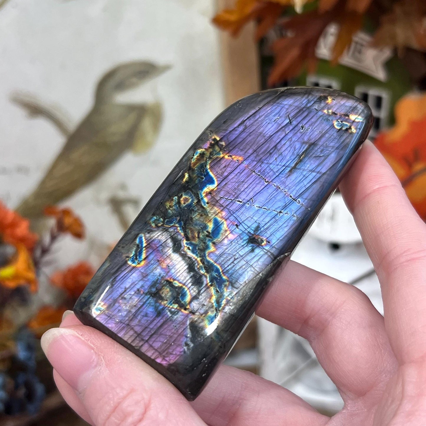 High Quality Small Purple Labradorite Freeform - WOBBLE, PLEASE READ