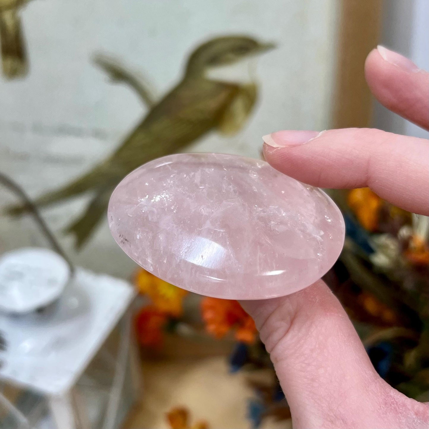 Small Gemmy Rose Quartz Palm | High Quality Rose Quartz