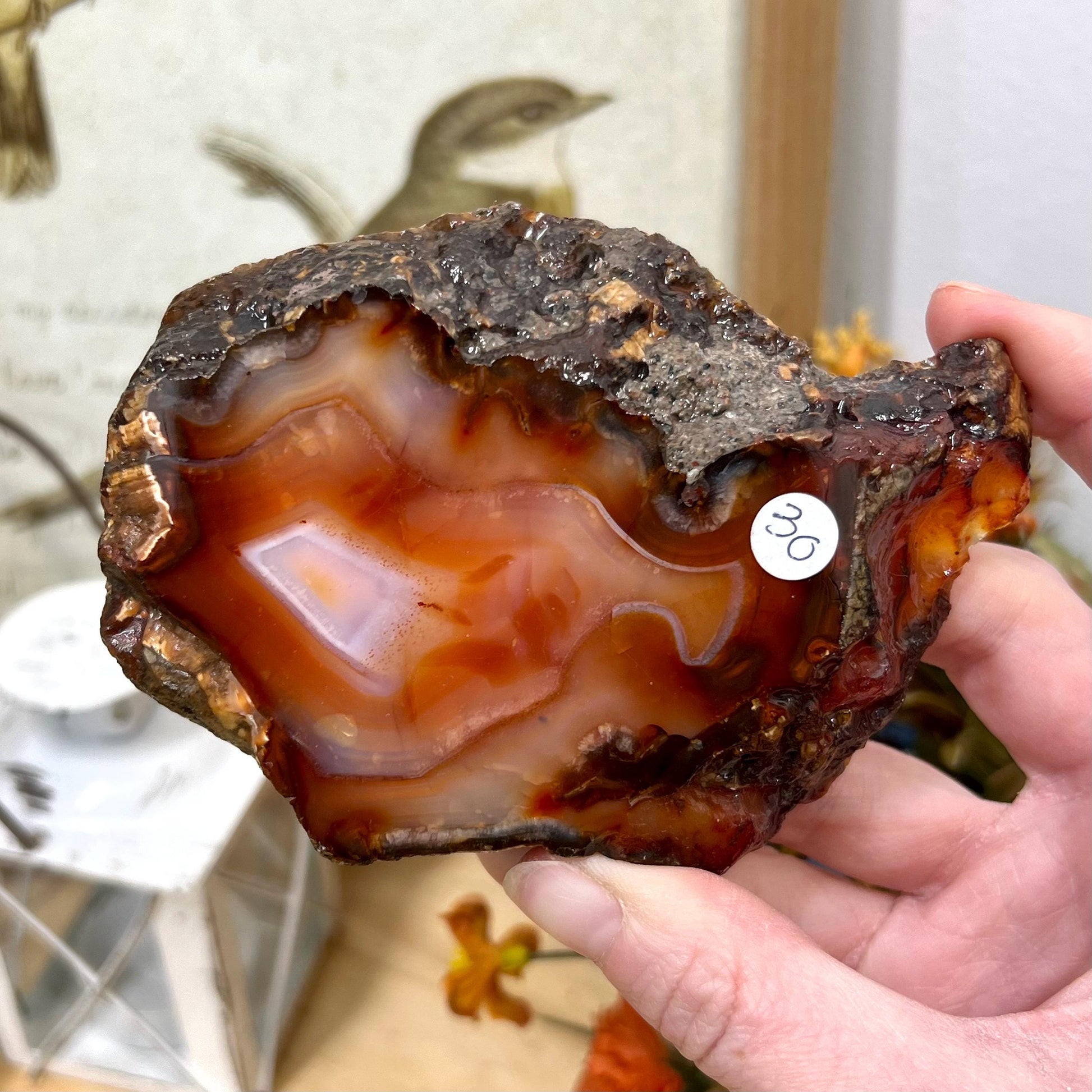 Carnelian Slab | Banded Agate | Carnelian Agate | Banded Carnelian