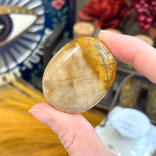 Petrified Wood Palm Stone | Madagascan Petrified Wood | Unique Crystals | Pocket Crystals