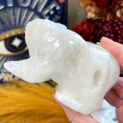 Large White Agate Bear | Crystal Bear Carving | Druzy Agate Bear