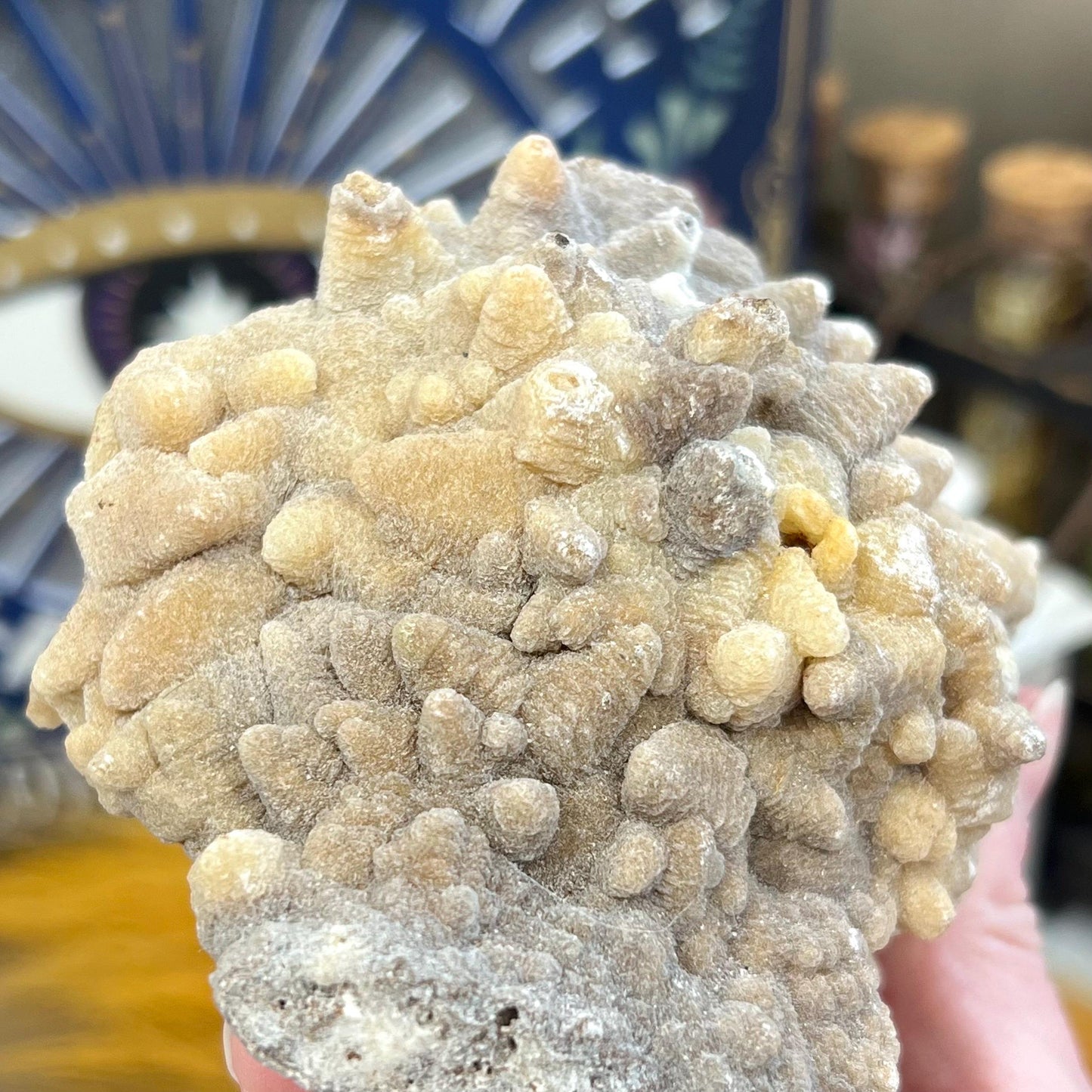 Large Aragonite Cluster from Morocco | Aragonite Specimen