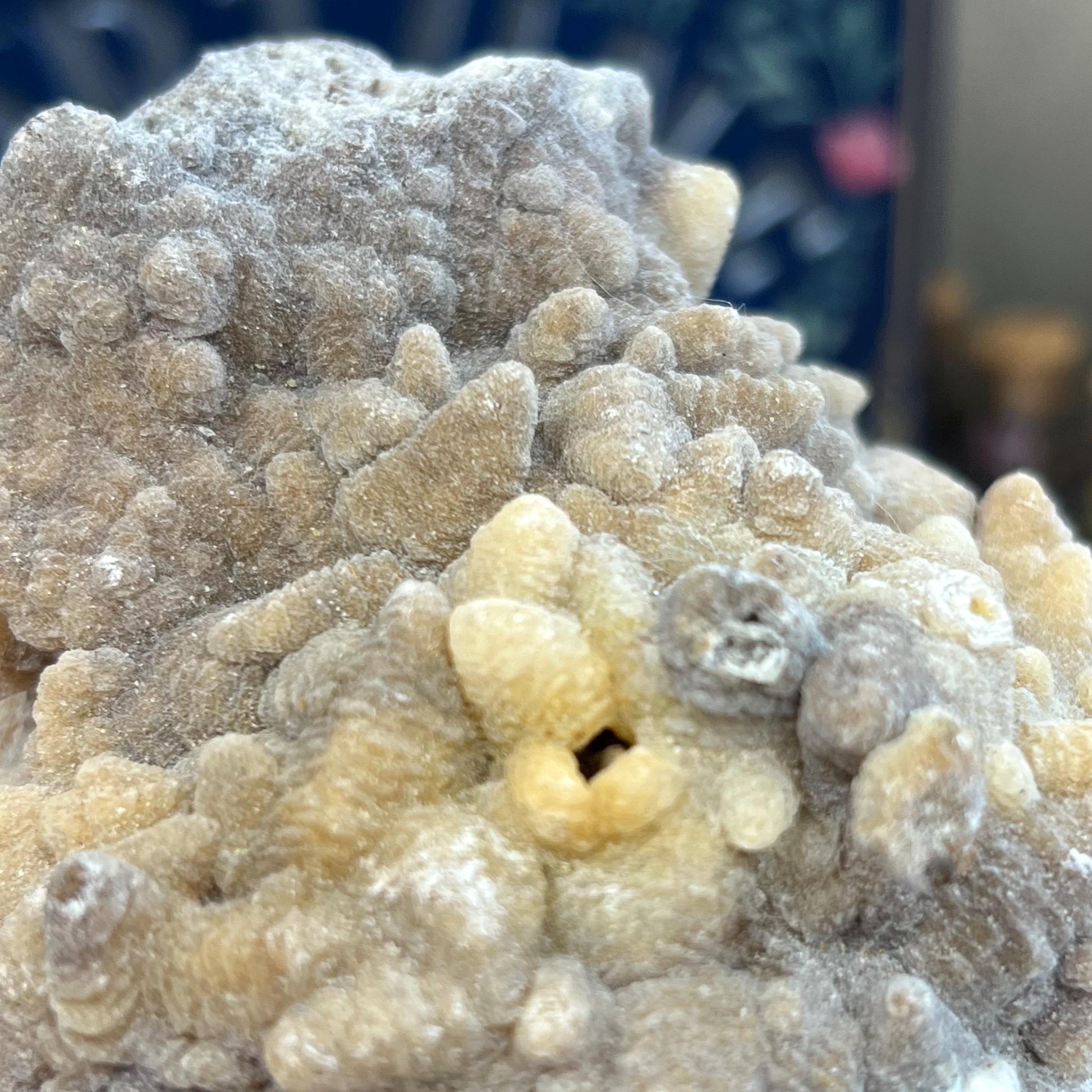 Large Aragonite Cluster from Morocco | Aragonite Specimen