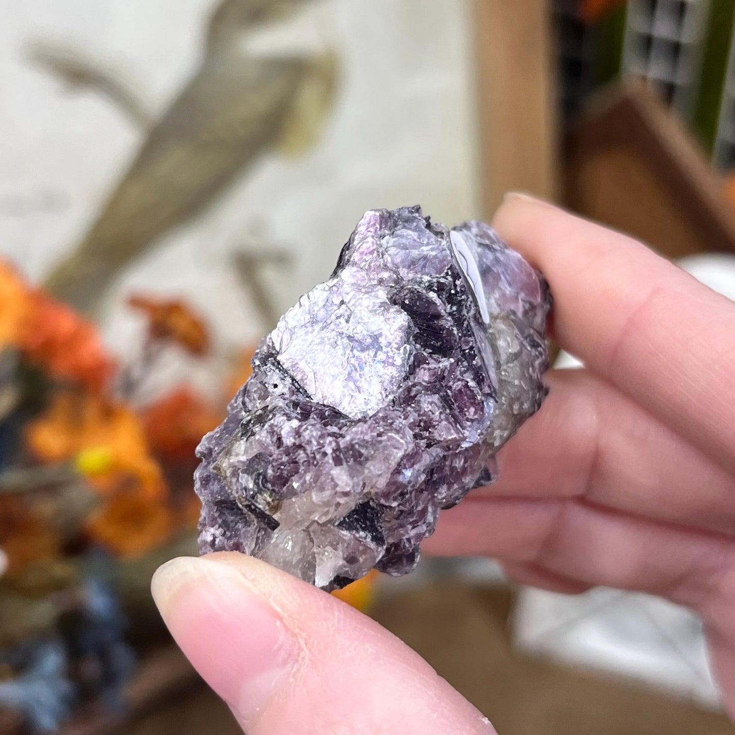 Raw Purple Mica Cluster | Raw Lepidolite | Gem Lepidolite | Purple Mica on Quartz