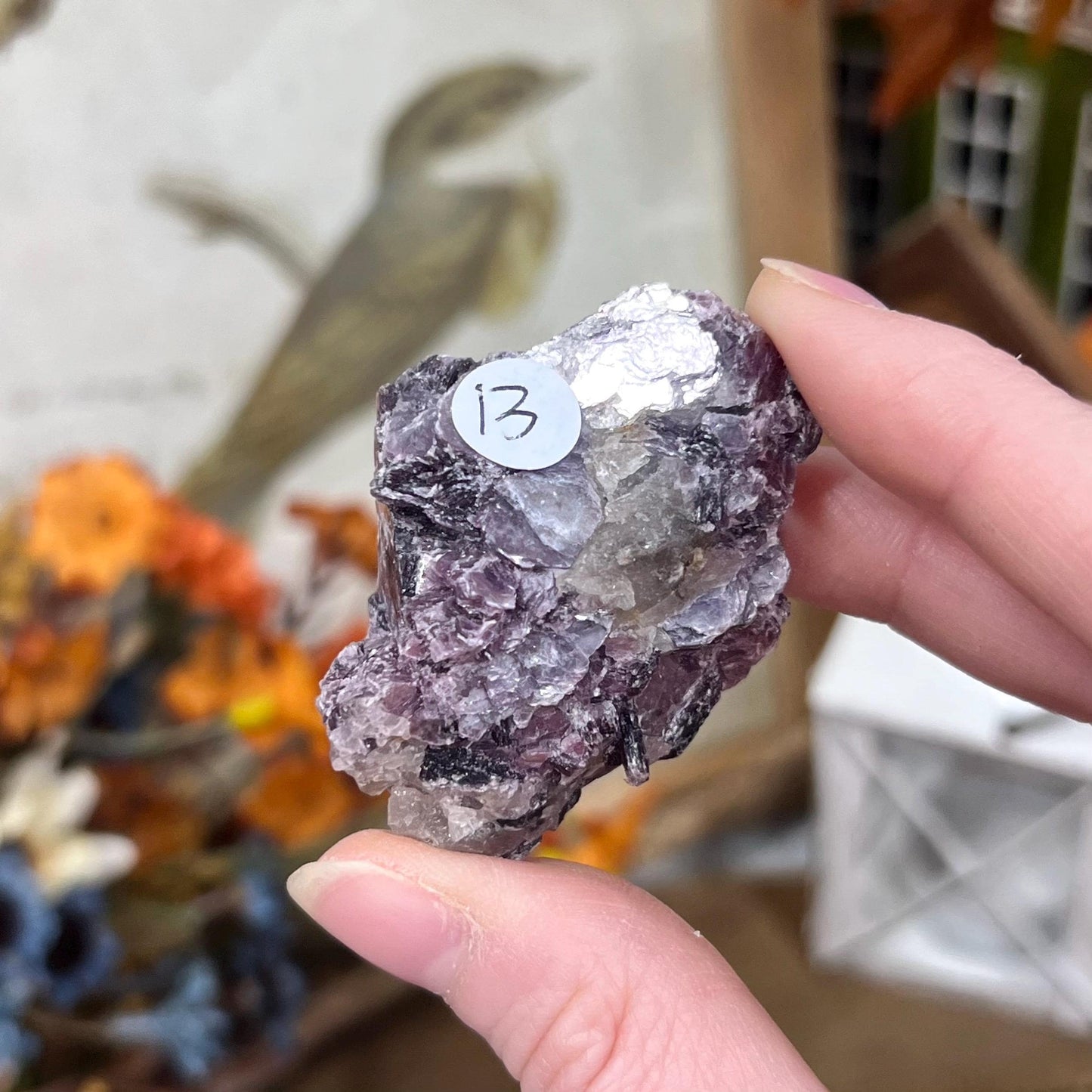 Raw Purple Mica Cluster | Raw Lepidolite | Gem Lepidolite | Purple Mica on Quartz