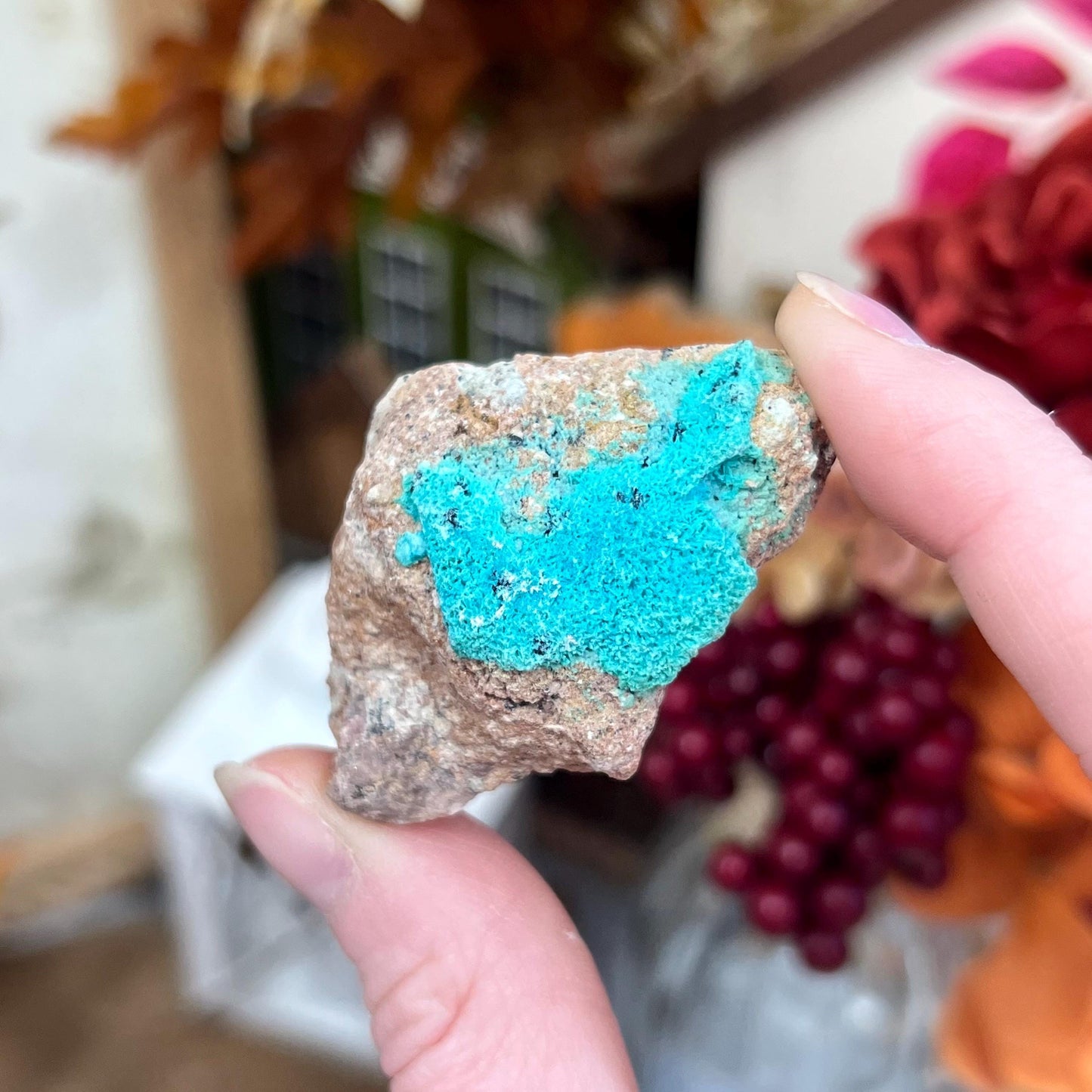 Small Chrysocolla Specimen | Raw Chrysocolla