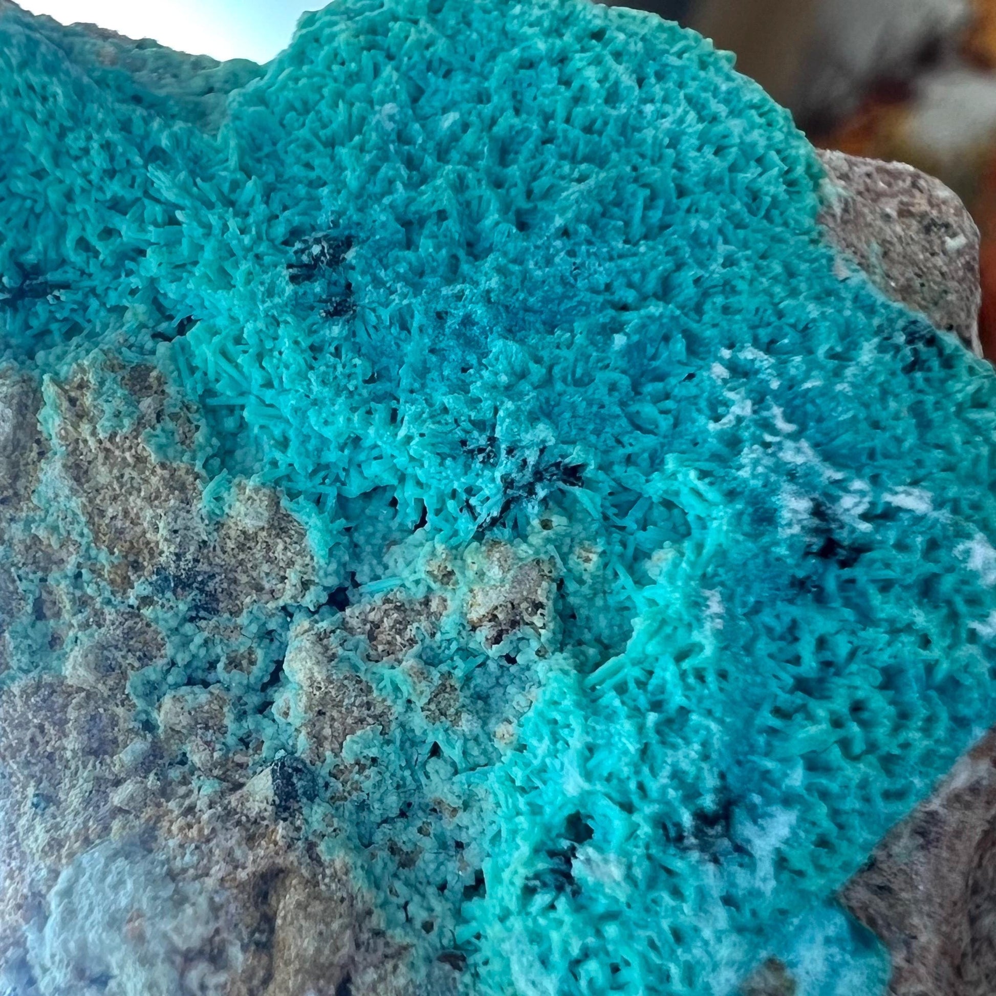 Small Chrysocolla Specimen | Raw Chrysocolla