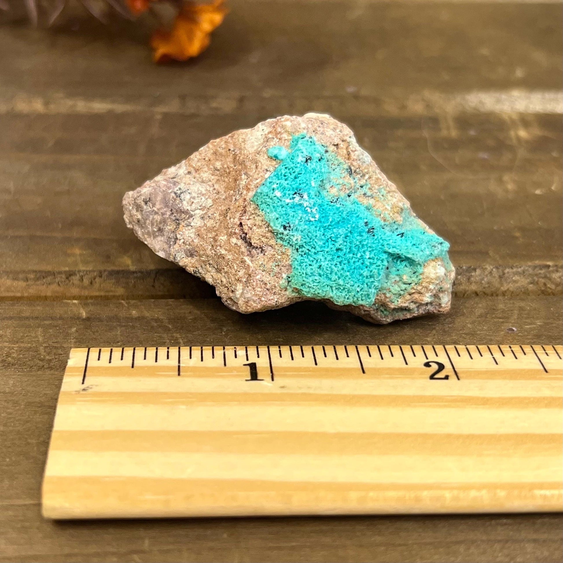 Small Chrysocolla Specimen | Raw Chrysocolla