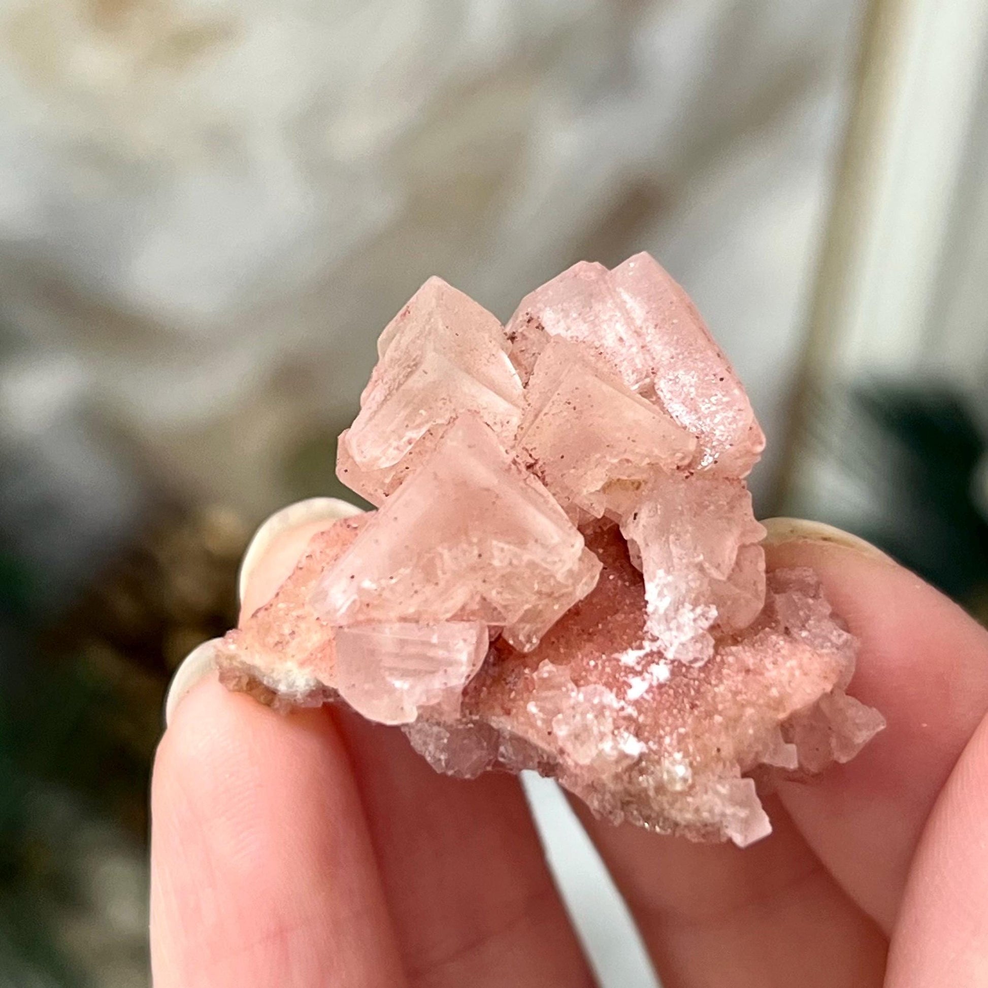 Mini Pink Halite Specimen from Searles Lake, California