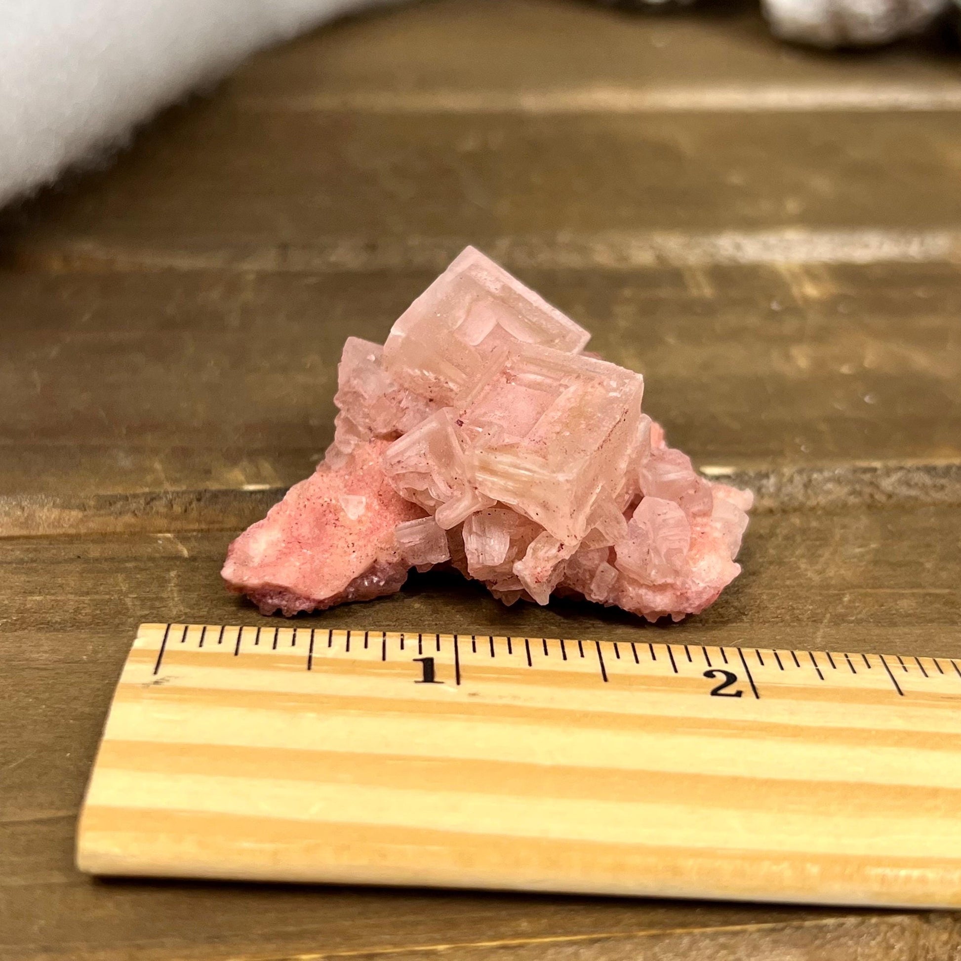 Small Pink Halite Specimen from Searles Lake, California