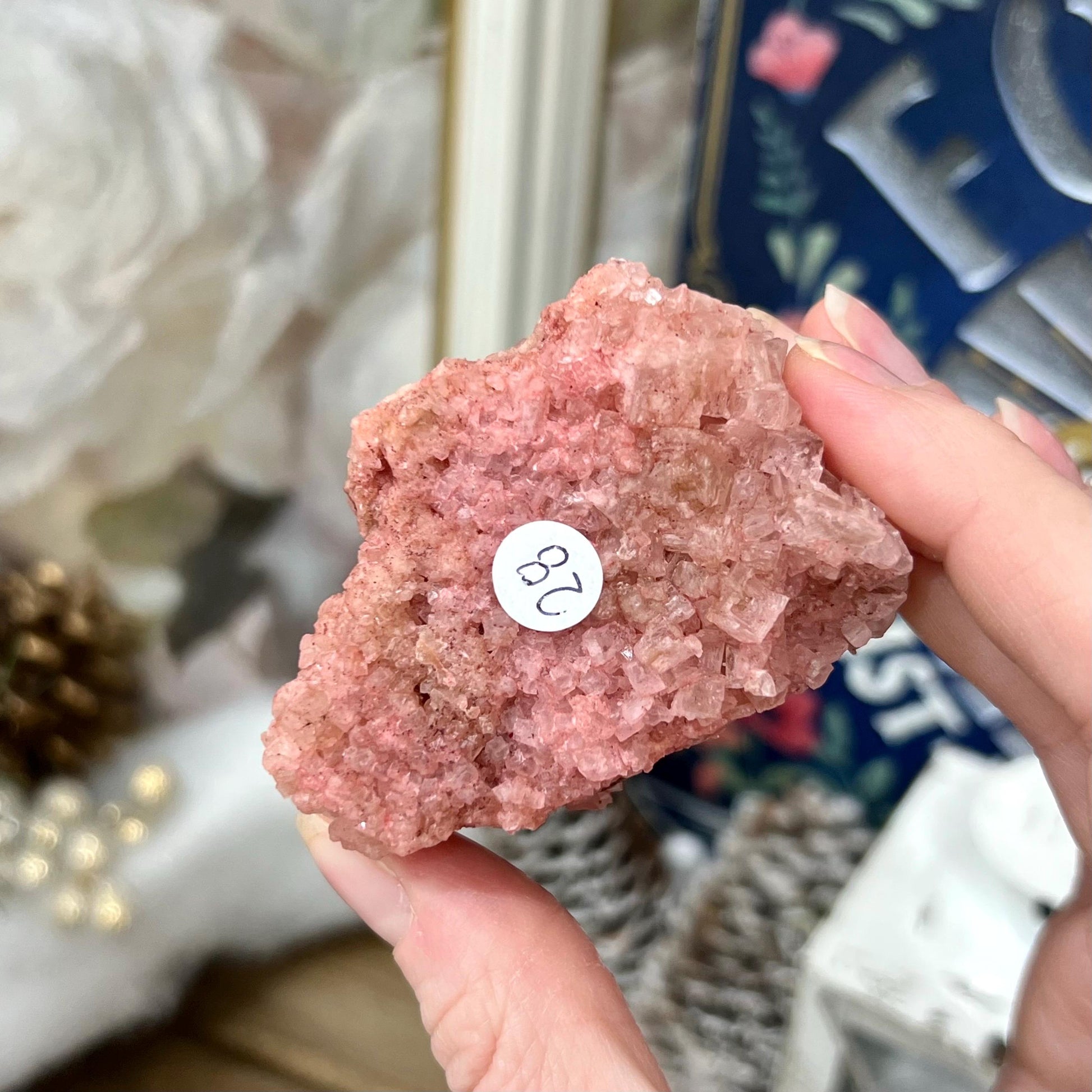 Pink Halite Specimen from Searles Lake, California