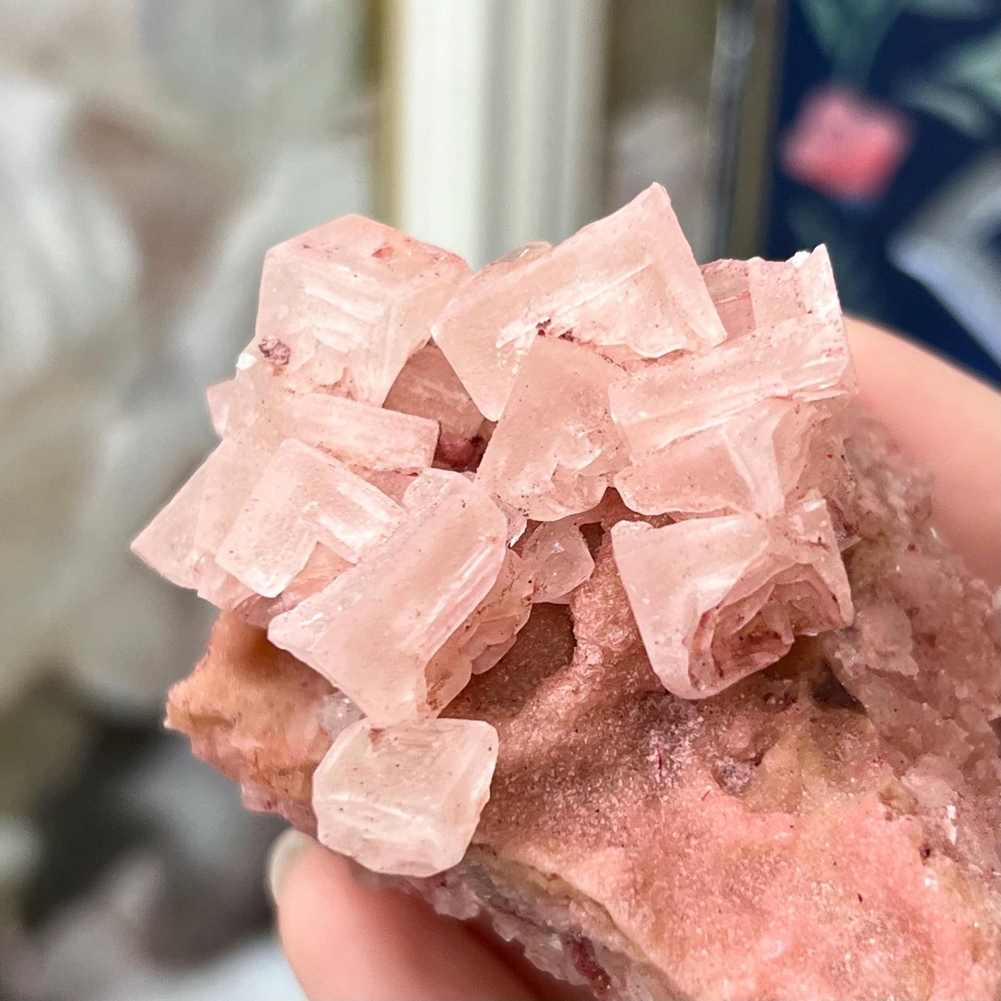 Pink Halite Specimen from Searles Lake, California