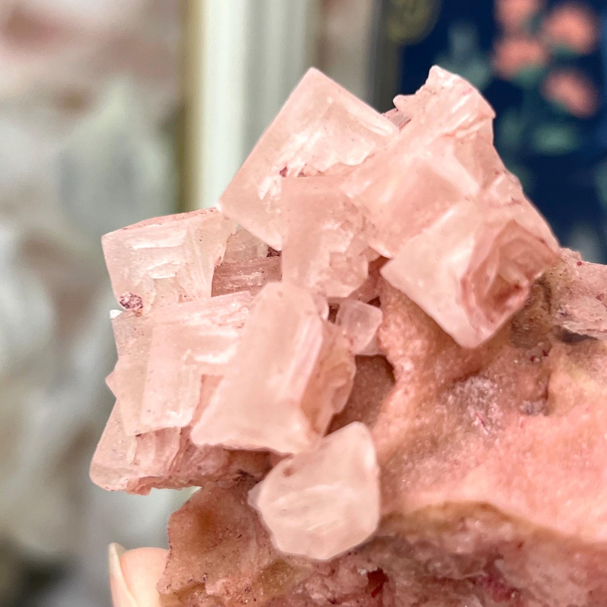 Pink Halite Specimen from Searles Lake, California