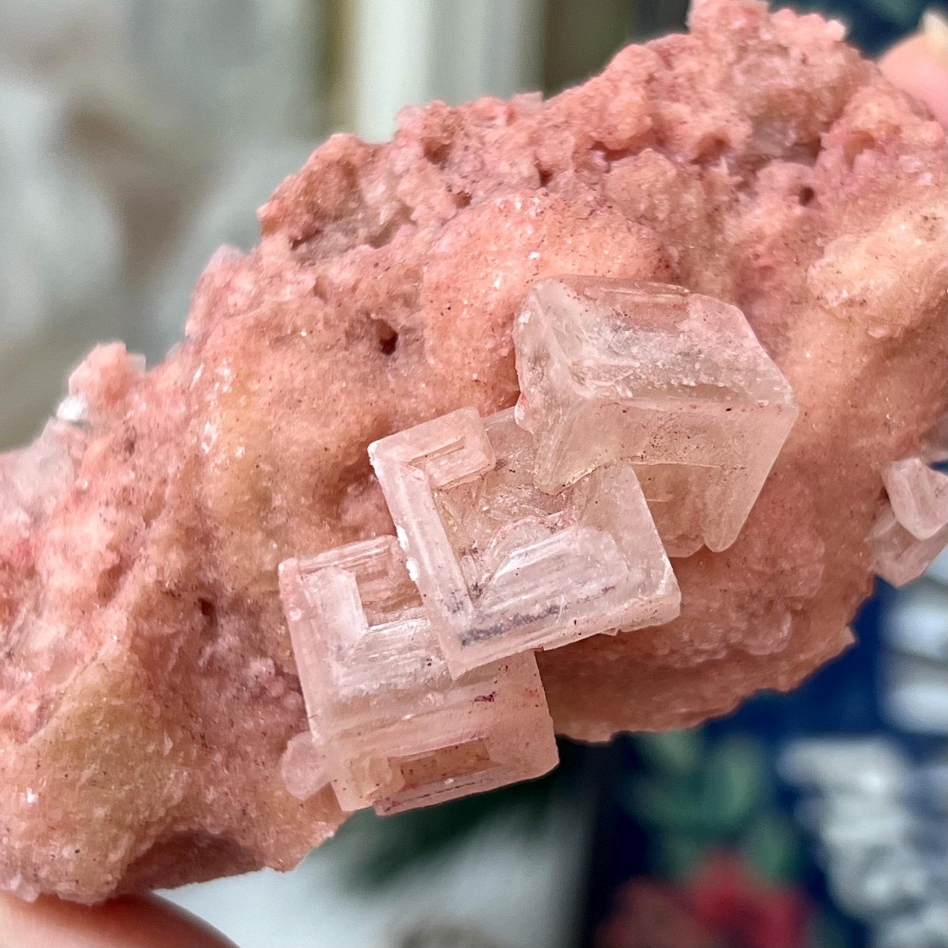 Pink Halite Specimen from Searles Lake, California