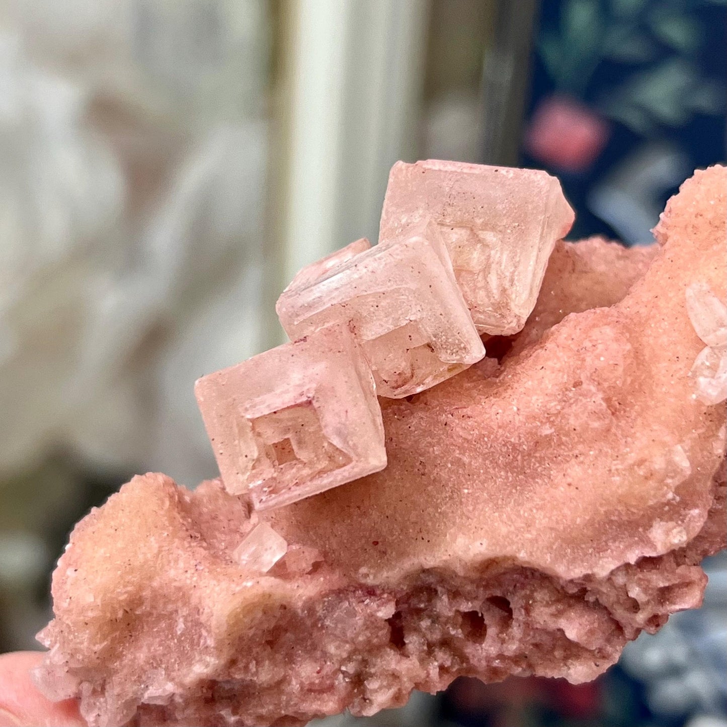 Pink Halite Specimen from Searles Lake, California