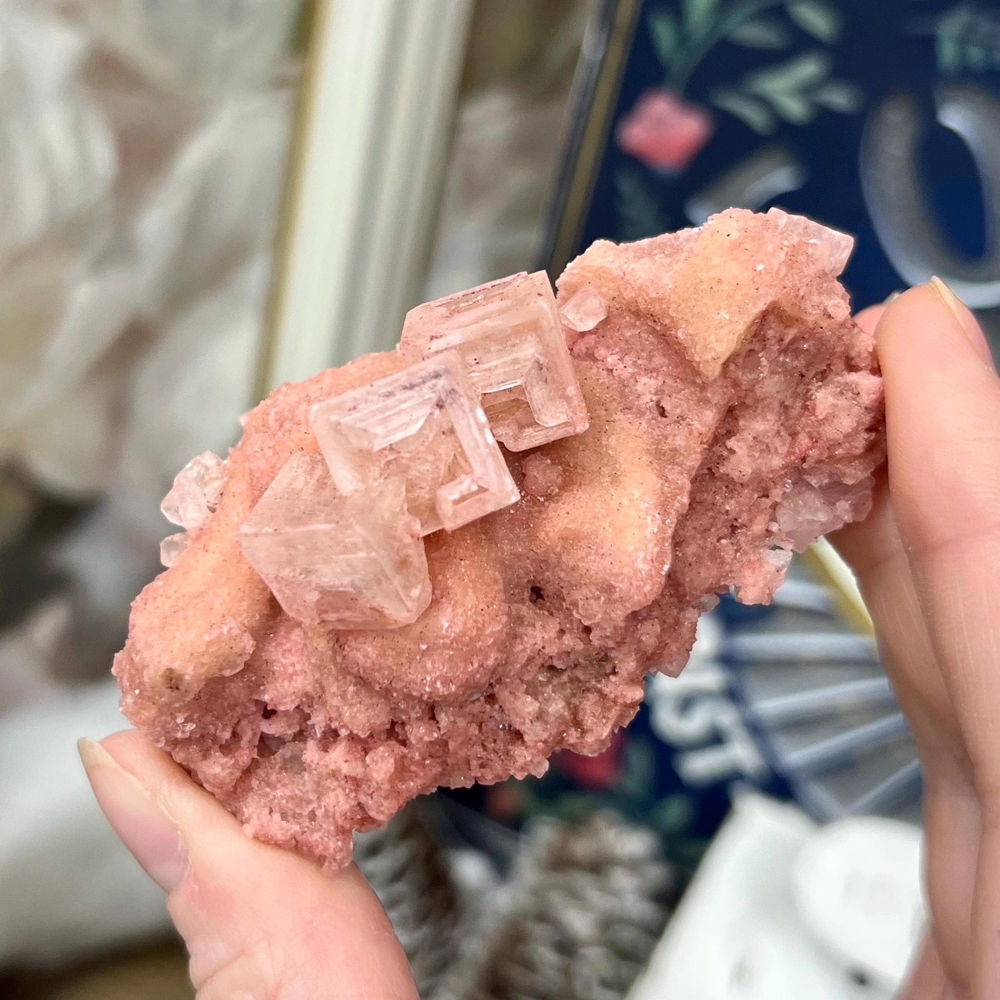 Pink Halite Specimen from Searles Lake, California