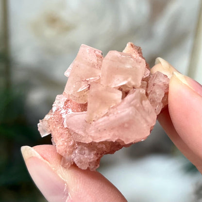 Mini Pink Halite Specimen from Searles Lake, California