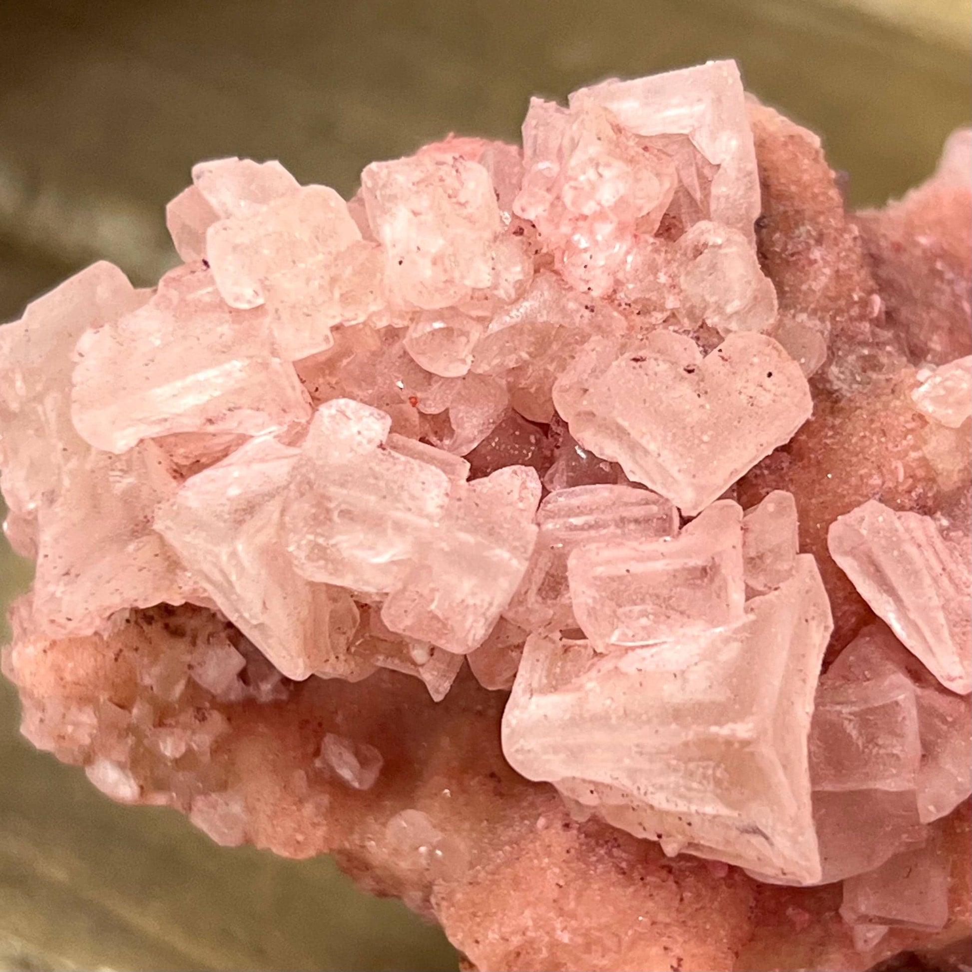 Pink Halite Specimen from Searles Lake, California