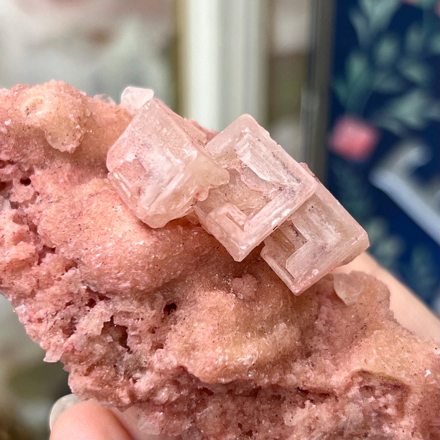 Pink Halite Specimen from Searles Lake, California