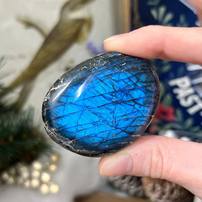 Electric Blue Labradorite Palm | High Quality Lab Palm Stone