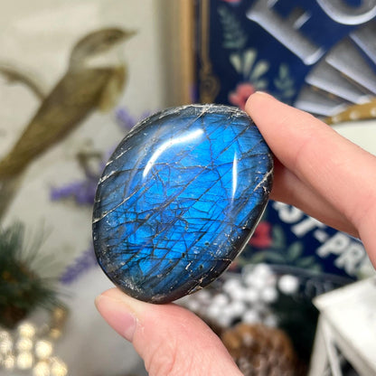 Electric Blue Labradorite Palm | High Quality Lab Palm Stone