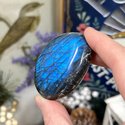 Electric Blue Labradorite Palm | High Quality Lab Palm Stone