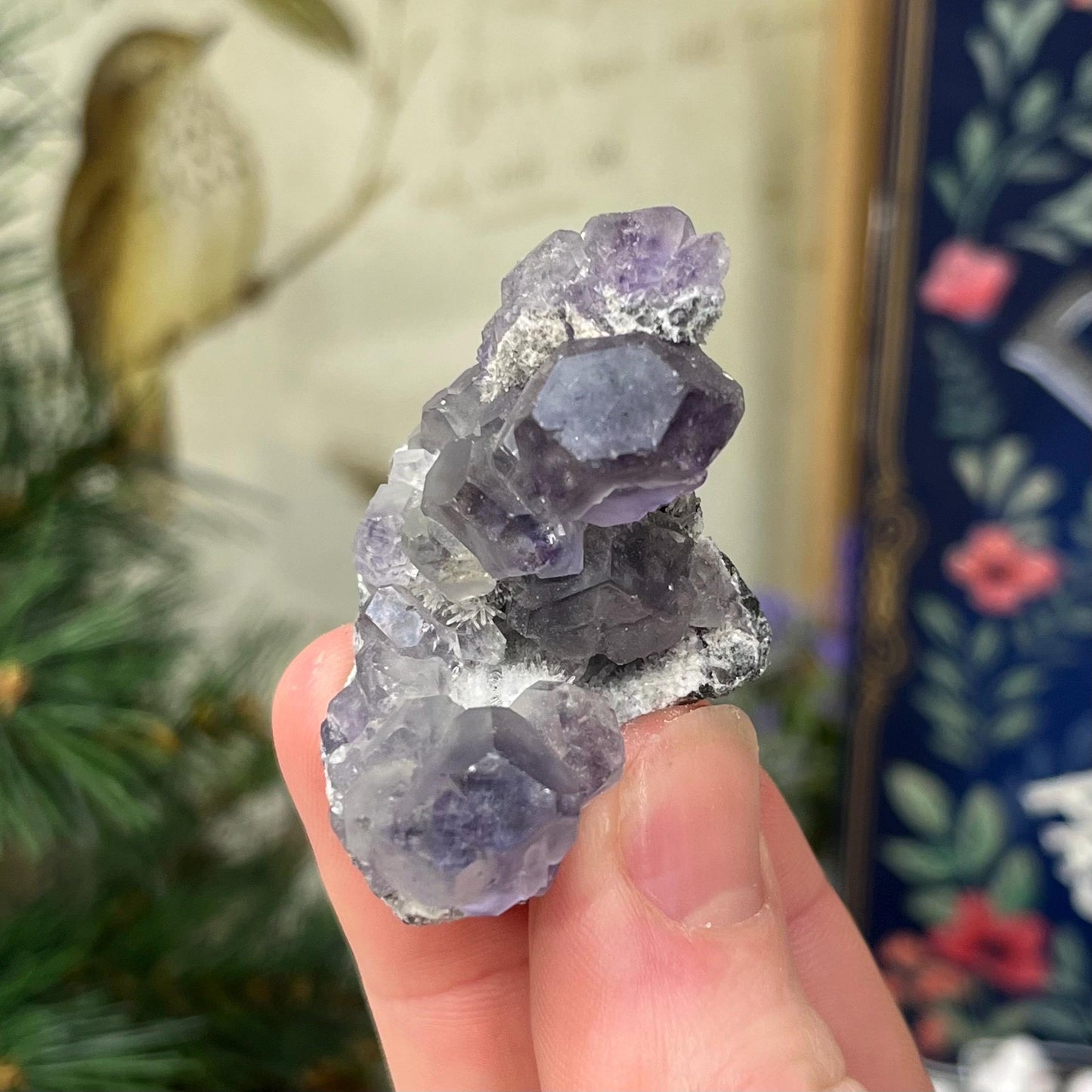 Purple Yaogangxian Fluorite Specimen | Yaogangxian Mineral Specimen | Dodecahedral Fluorite