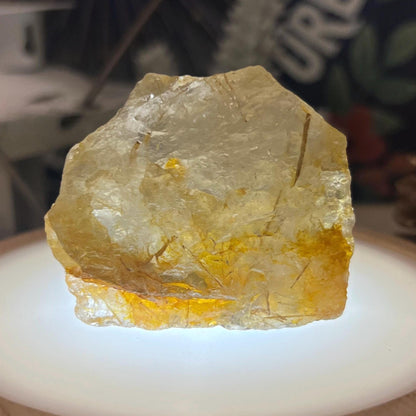 Raw Golden Rutile Quartz Chunk | Golden Healer Quartz | Rutilated Quartz