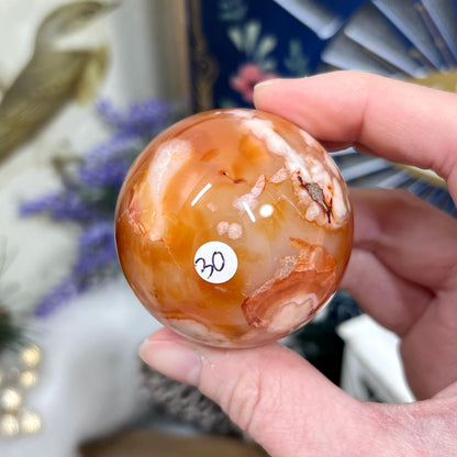 Gorgeous Carnelian Flower Agate Sphere with Druzy | Druzy Carnelian Sphere