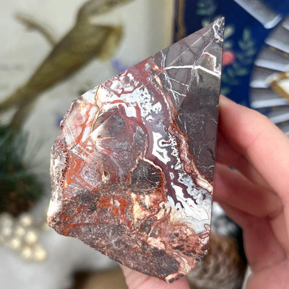 Top Polished Mexican Lace Agate Point | Crazy Lace Agate