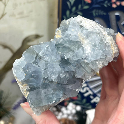 High Quality Celestite Cluster | Gemmy Celestite Geode