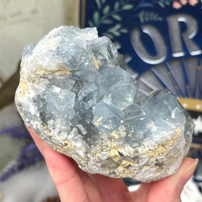 High Quality Celestite Cluster | Gemmy Celestite Geode