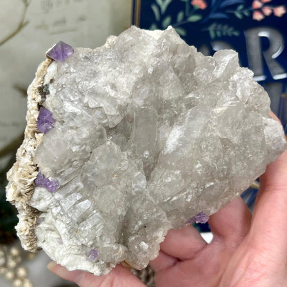 Rare Fluorite on Quartz from Mt. Antero, Chaffee County, Colorado | Octahedral Fluorite | Elestial Quartz