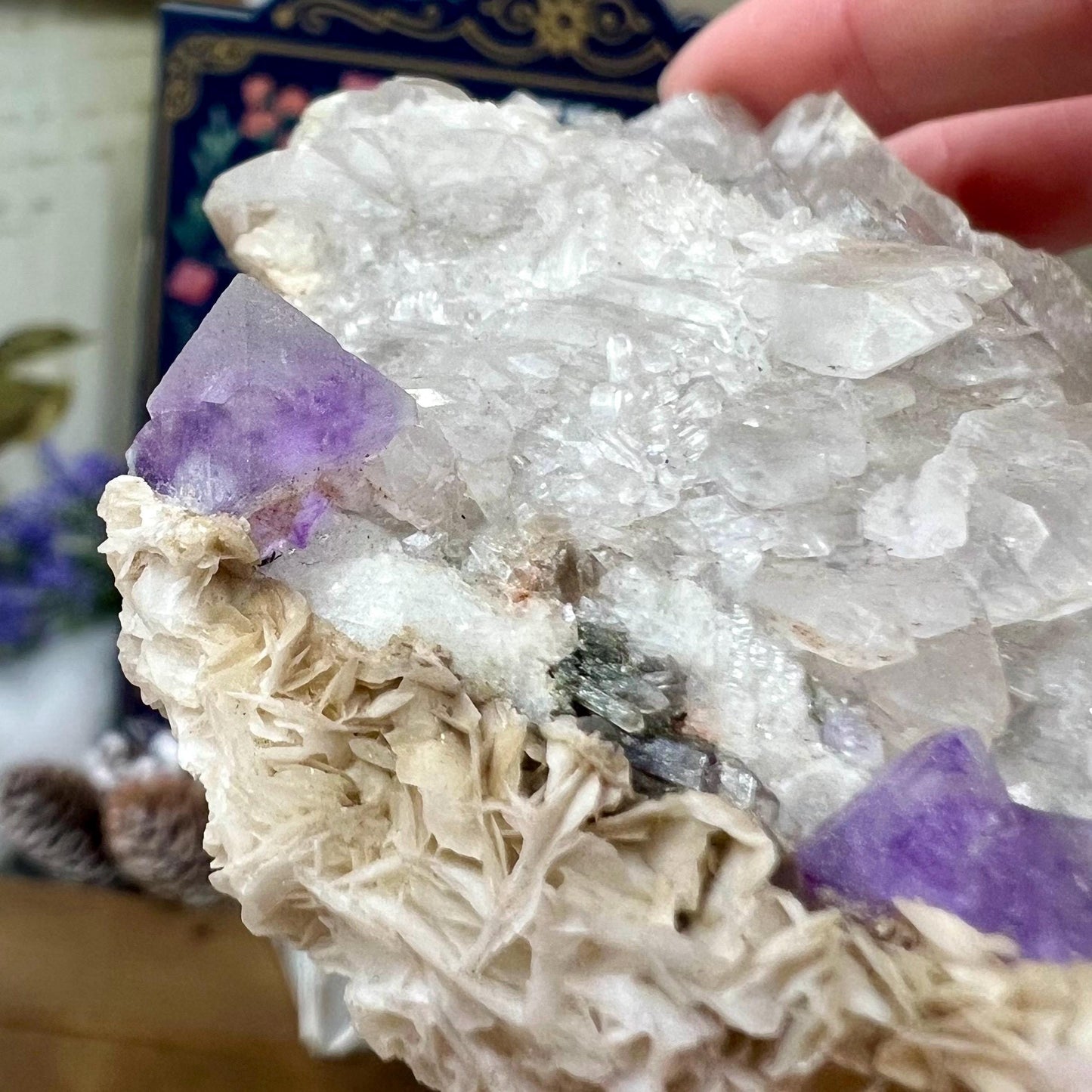 Rare Fluorite on Quartz from Mt. Antero, Chaffee County, Colorado | Octahedral Fluorite | Elestial Quartz