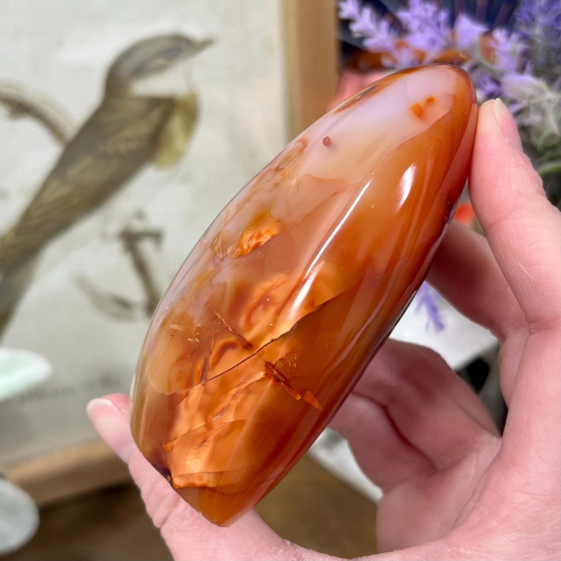 Carnelian Agate Freeform | Carnelian Orca Agate