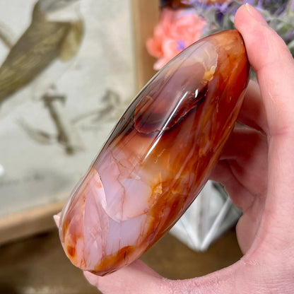 Carnelian Agate Freeform | Carnelian Orca Agate