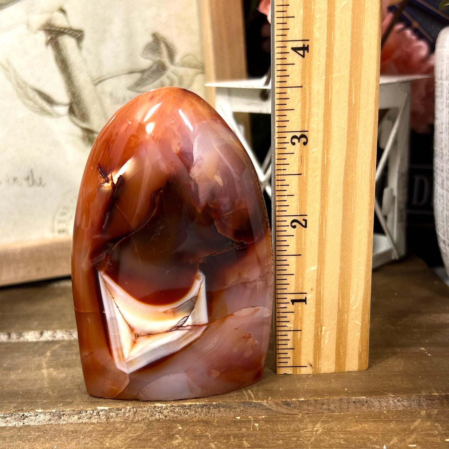 Carnelian Agate Freeform | Carnelian Orca Agate