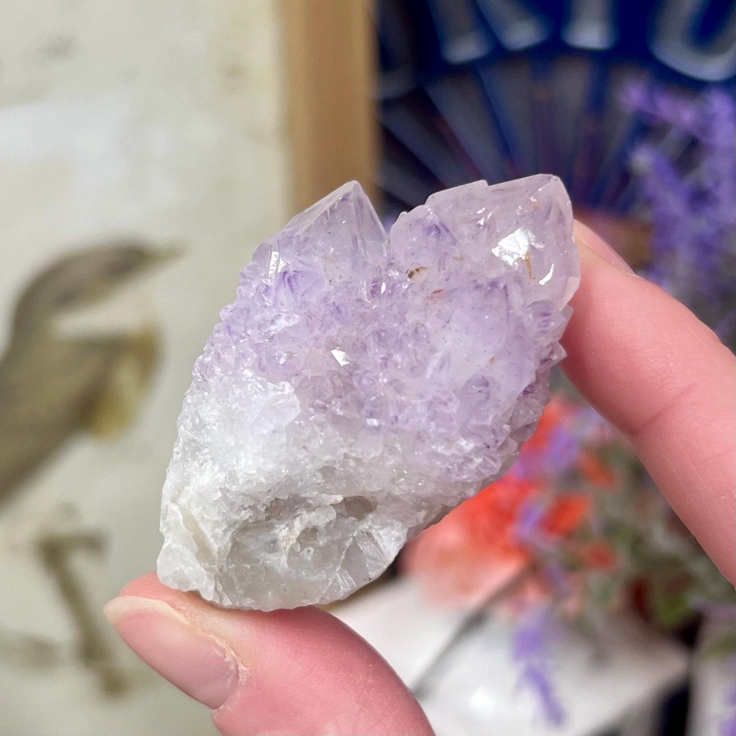 High Quality Spirit Quartz | Spirit Amethyst | Cactus Quartz