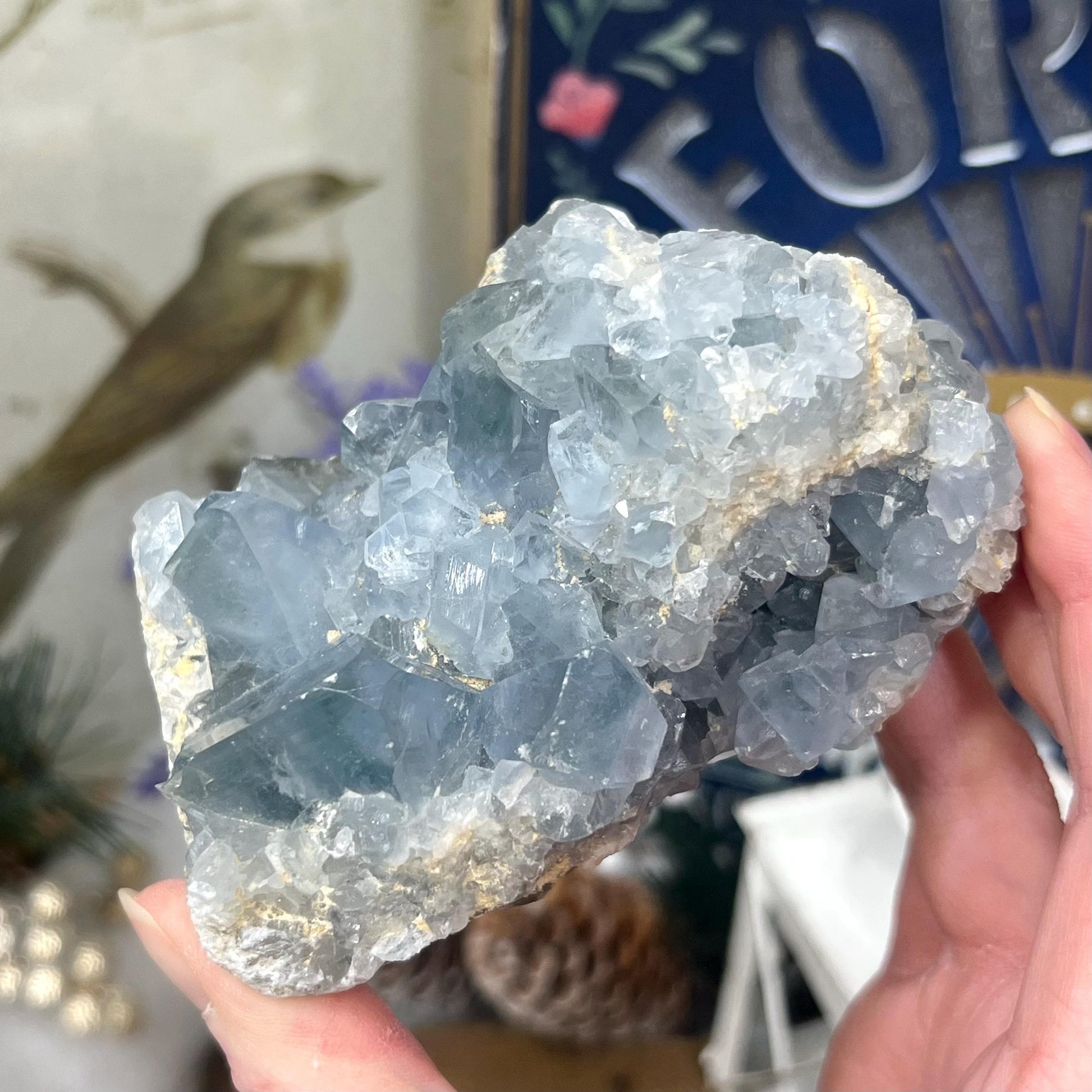 High Quality Celestite Cluster | Gemmy Celestite Geode