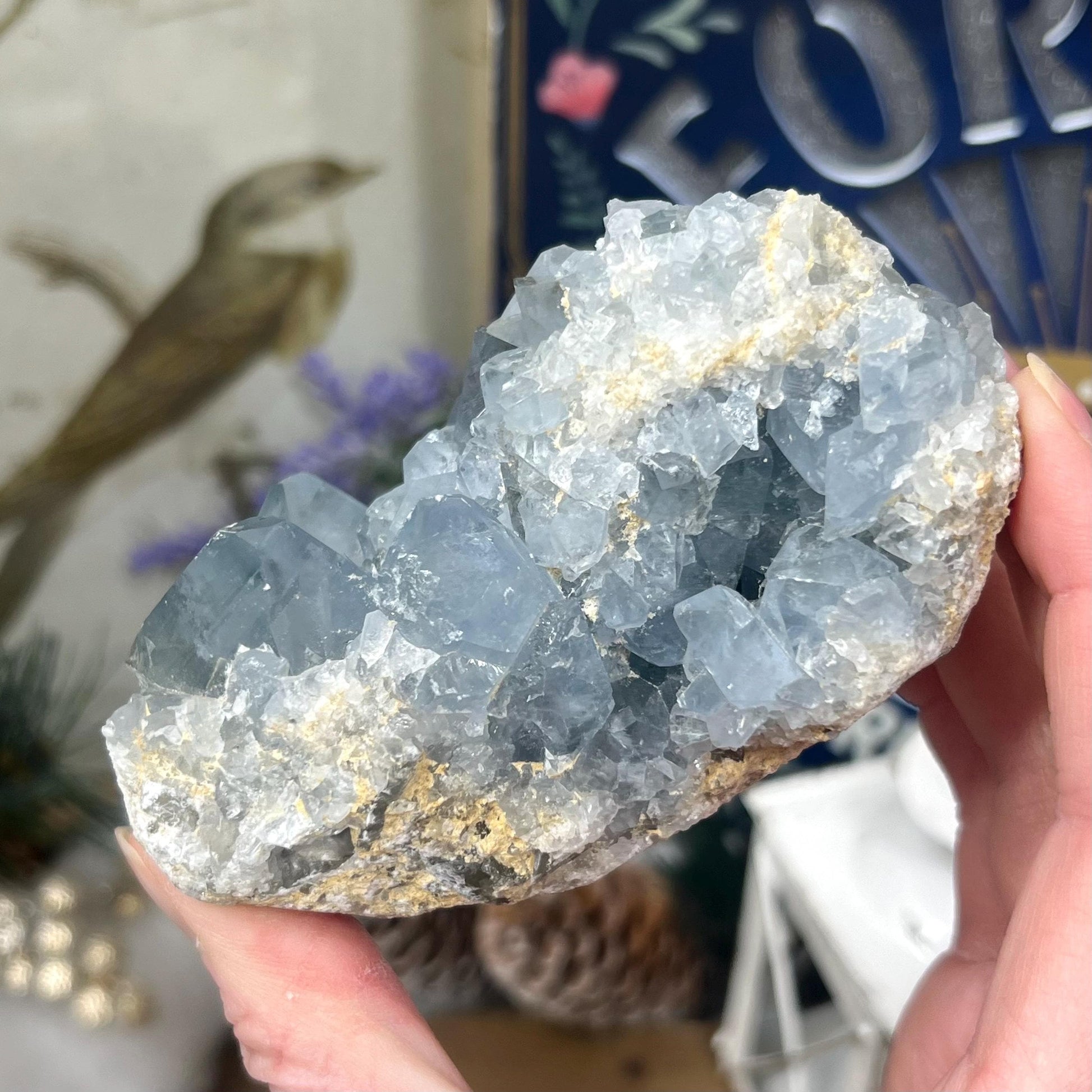 High Quality Celestite Cluster | Gemmy Celestite Geode