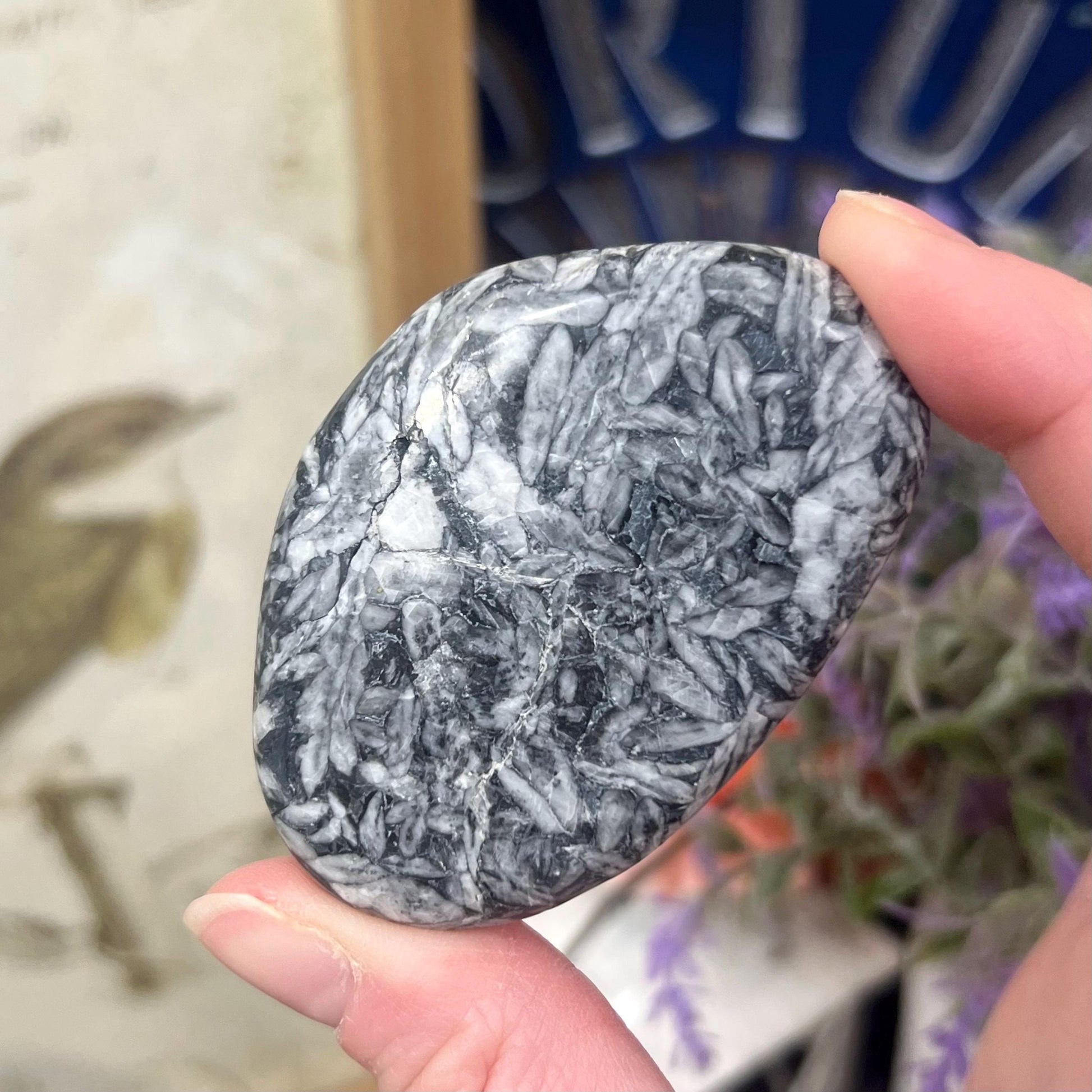 Rare Pinolite Palm Stone | Pinolith Palm